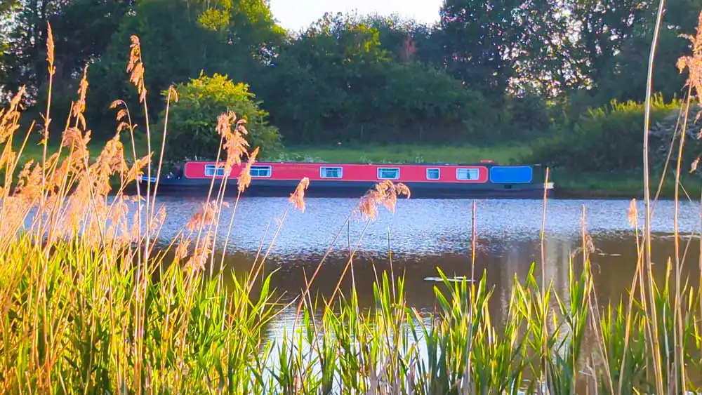 Spotting Spring Wildlife on the Canals