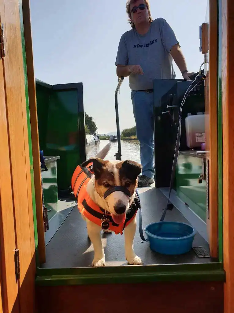 Dog-boating-fun on an Andersen Boats holiday